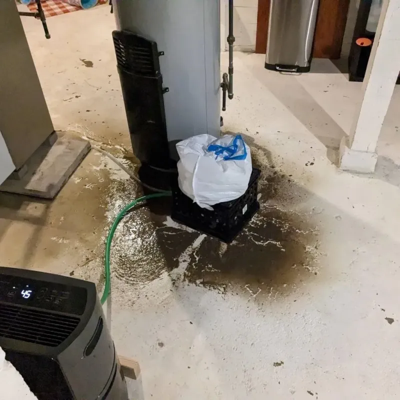 Sewage Backup Cleanup Service in Friona, TX